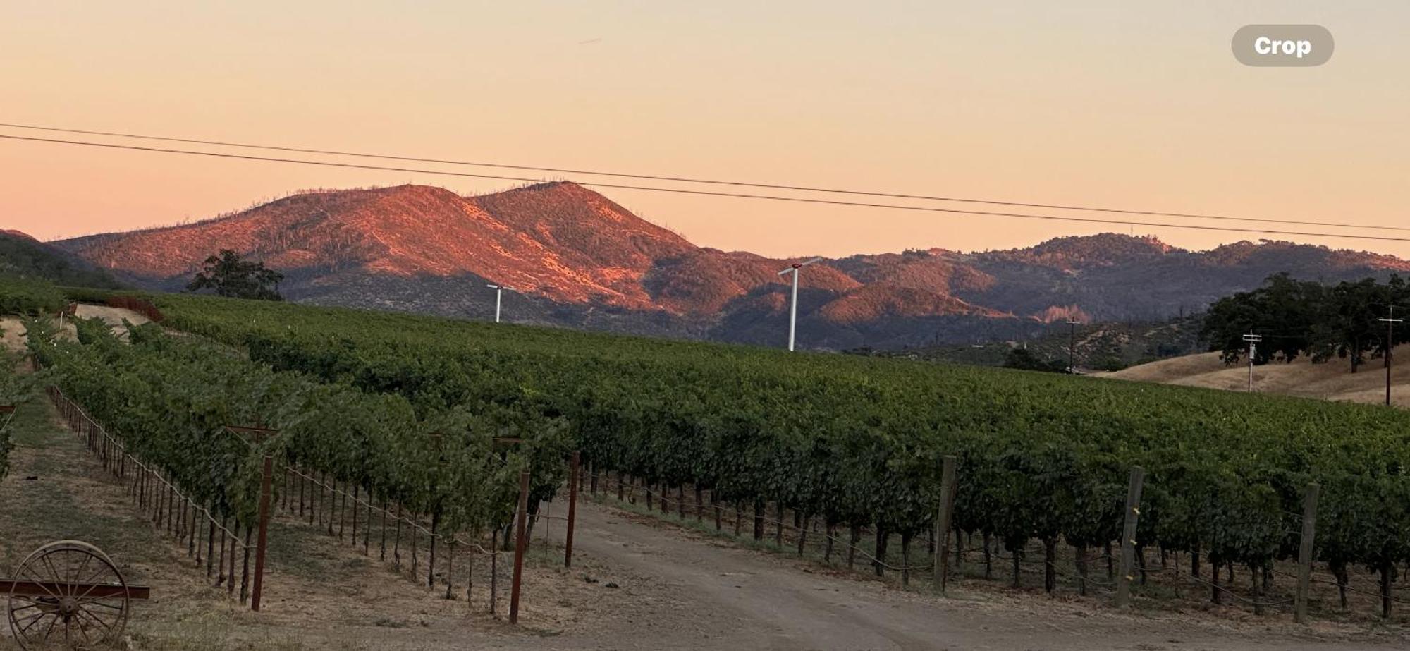 Rustridge Ranch & Winery Santa Helena Exterior foto