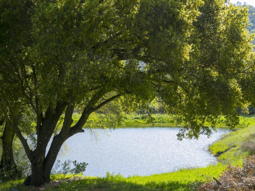 Rustridge Ranch & Winery Santa Helena Exterior foto