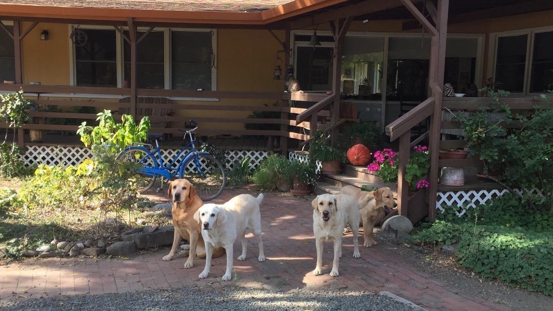 Rustridge Ranch & Winery Santa Helena Exterior foto