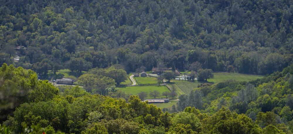 Rustridge Ranch & Winery Santa Helena Exterior foto