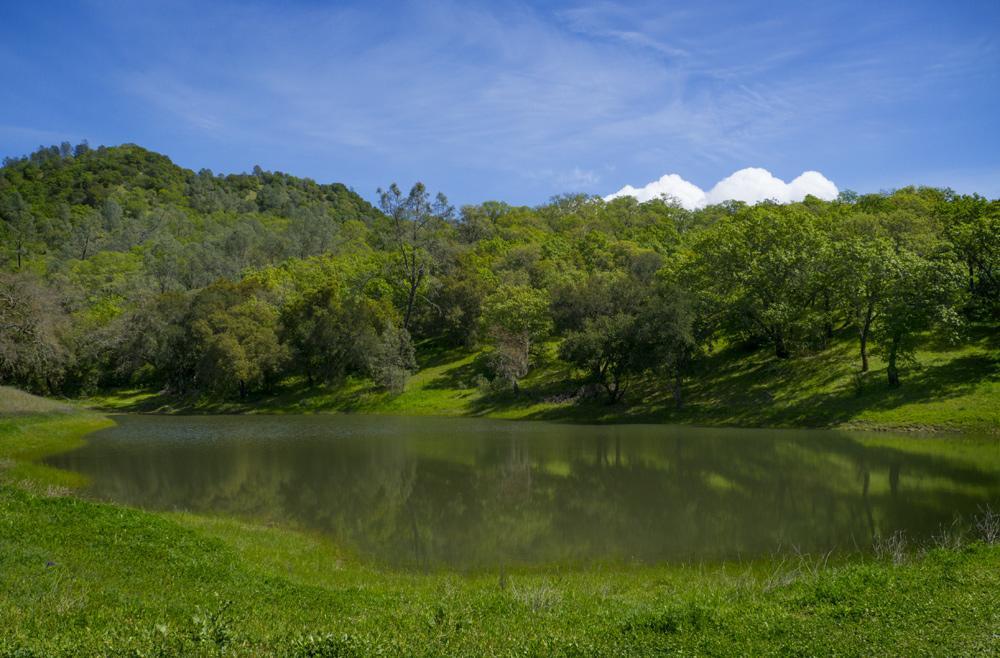 Rustridge Ranch & Winery Santa Helena Exterior foto