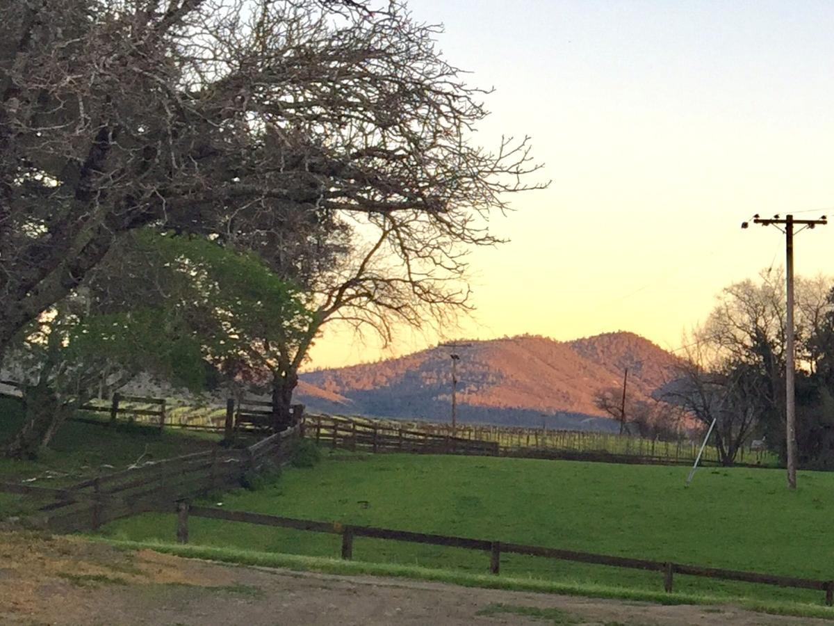 Rustridge Ranch & Winery Santa Helena Exterior foto