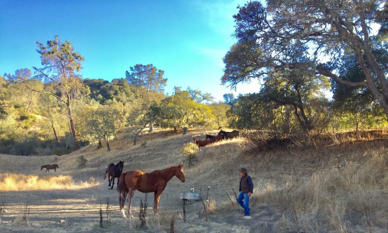 Rustridge Ranch & Winery Santa Helena Exterior foto