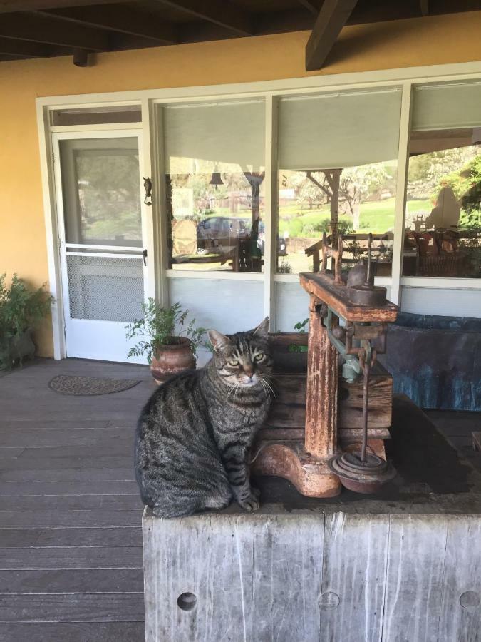 Rustridge Ranch & Winery Santa Helena Exterior foto
