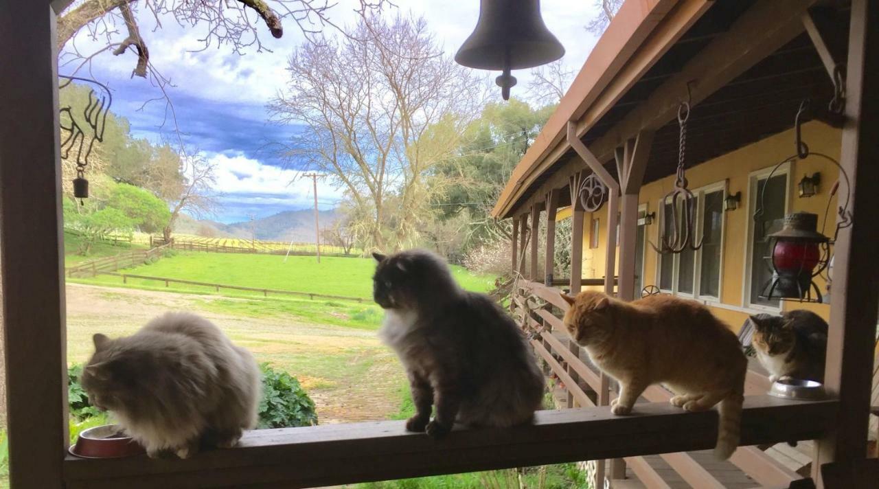 Rustridge Ranch & Winery Santa Helena Exterior foto