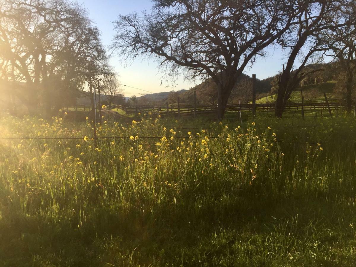 Rustridge Ranch & Winery Santa Helena Exterior foto