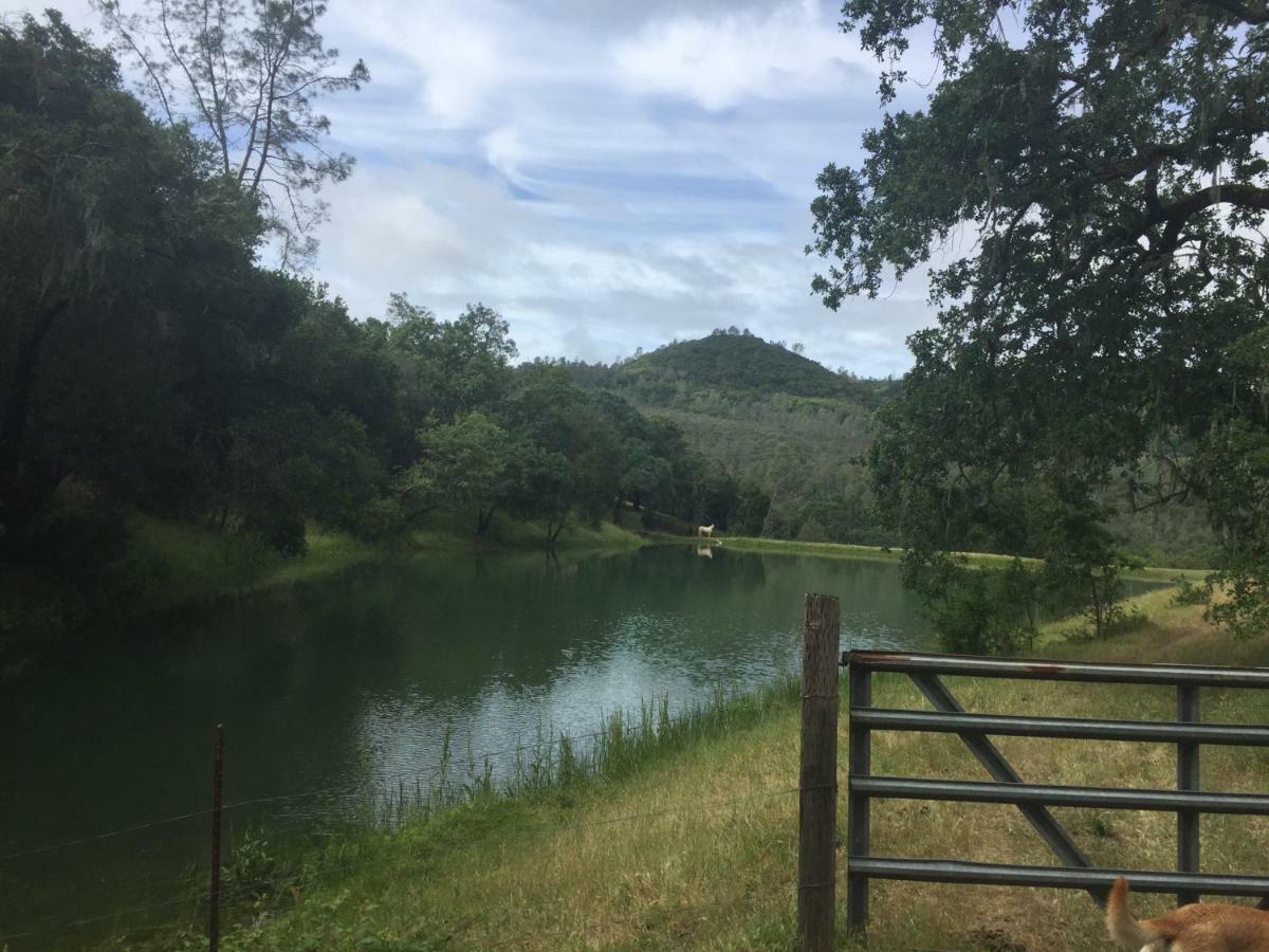 Rustridge Ranch & Winery Santa Helena Exterior foto