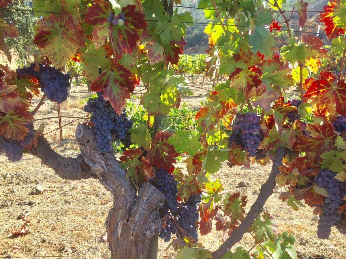 Rustridge Ranch & Winery Santa Helena Exterior foto
