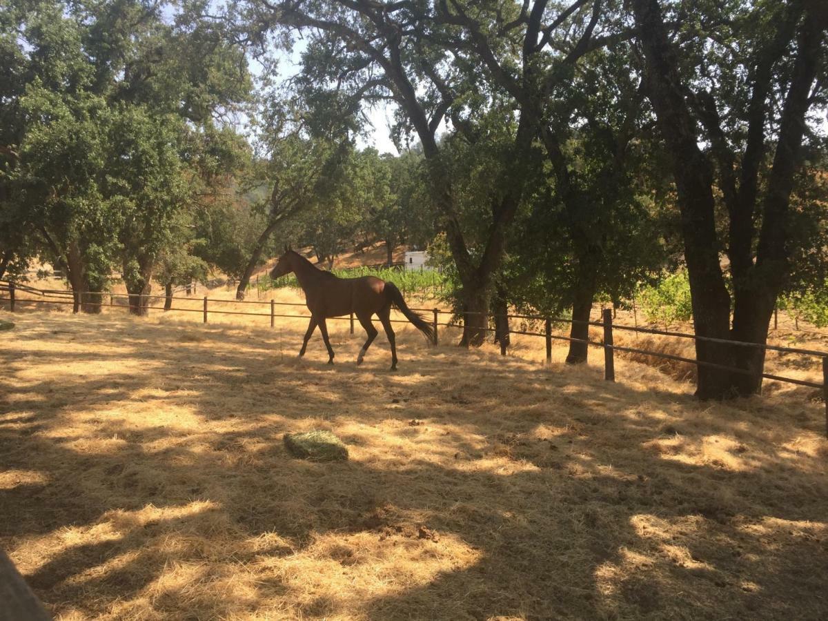 Rustridge Ranch & Winery Santa Helena Exterior foto